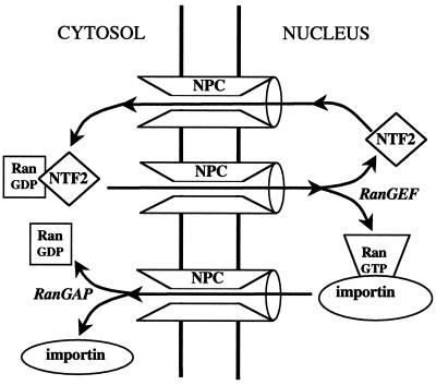 FIG. 8