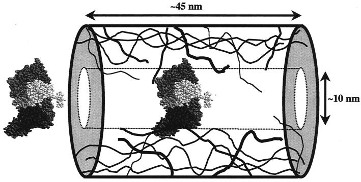 FIG. 9