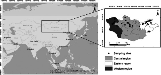 FIGURE 1