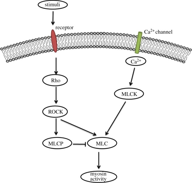 Figure 3.