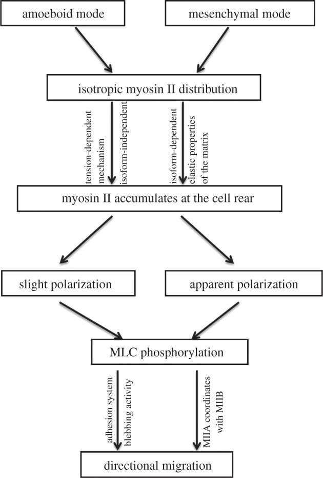 Figure 5.