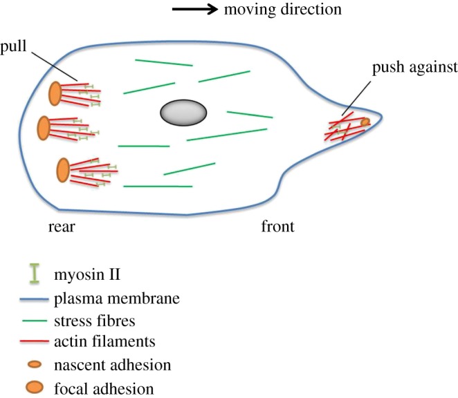 Figure 4.