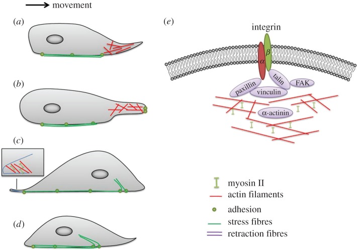 Figure 1.