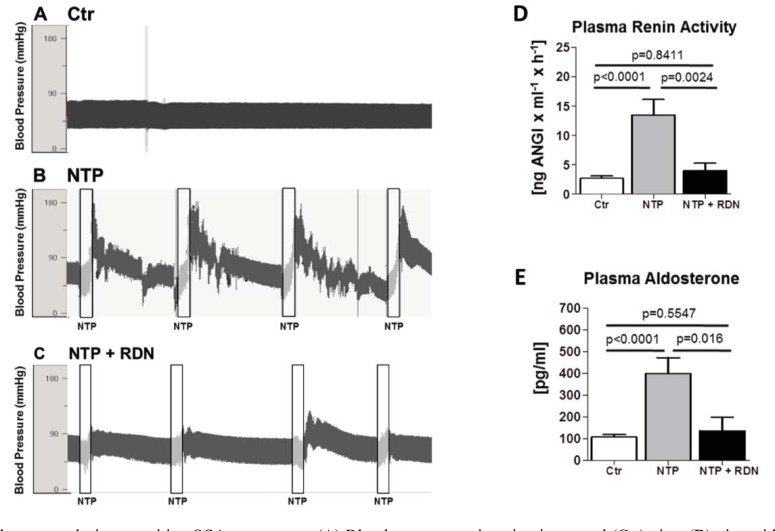 Fig. (4)