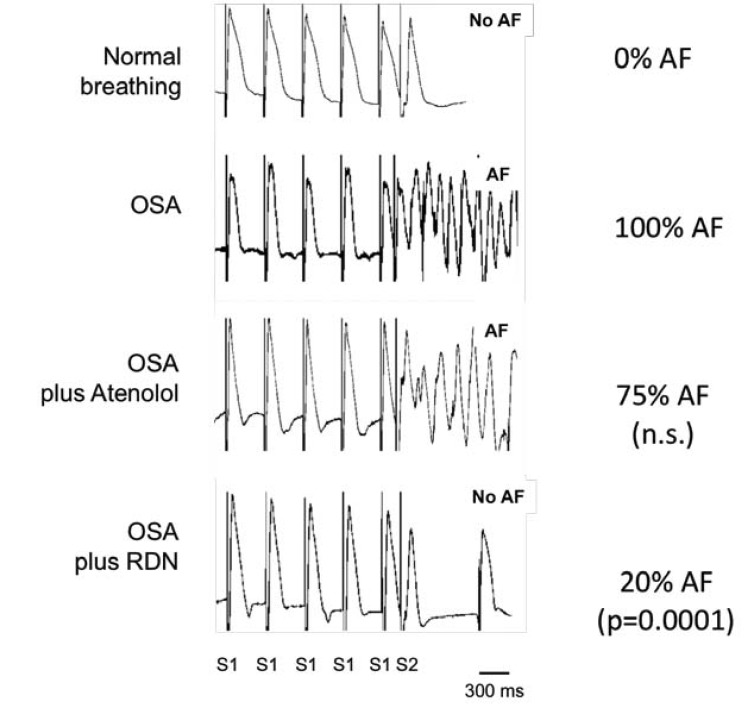 Fig. (3)