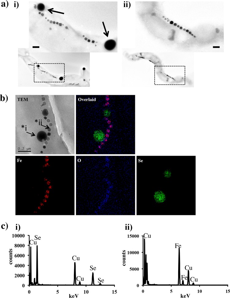 FIG 2