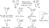 Scheme 27