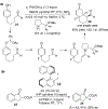 Scheme 6