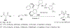 Scheme 122
