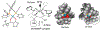 Figure 18