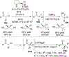 Scheme 23