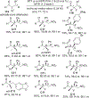 Scheme 28