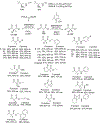 Scheme 32