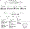 Scheme 76