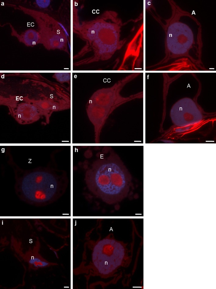 Fig. 4