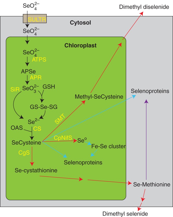 Fig. 1.