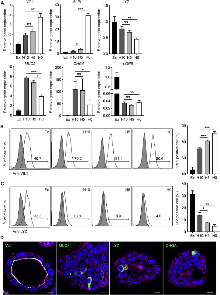 Figure 1