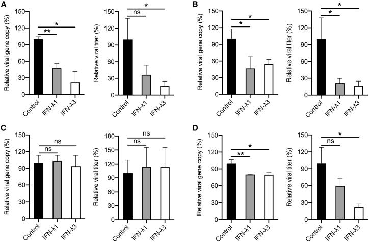 Figure 6