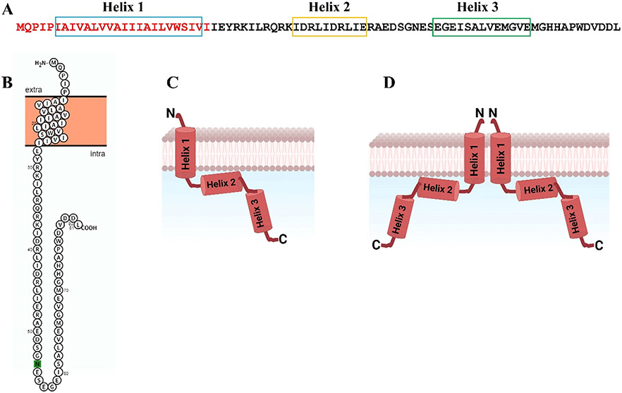 Fig. 1.