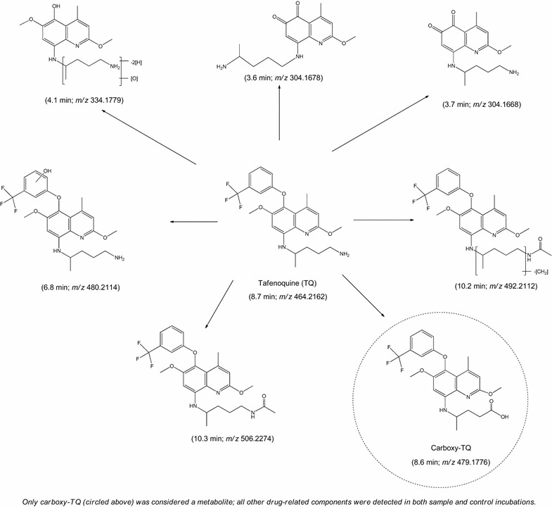 Fig. 3