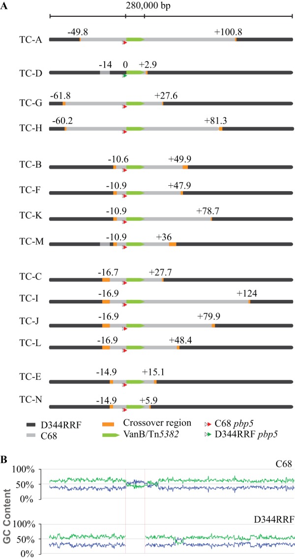 FIG 3