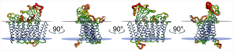 Extended Data Fig. 3