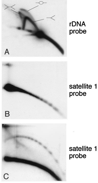 FIG. 8