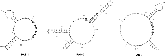 FIG. 4.