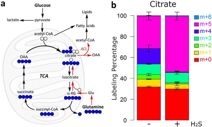 Figure 11.