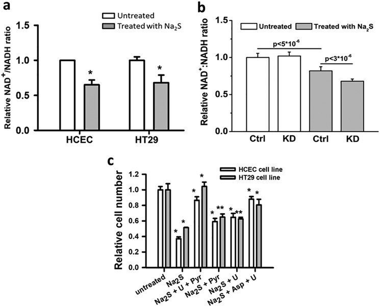 Figure 10.