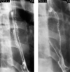 Fig. 21