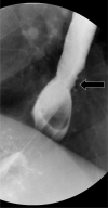 Fig. 20