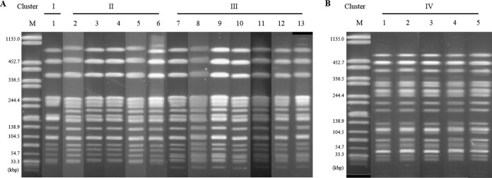 FIG 1