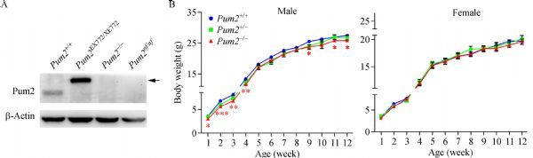 Fig.2