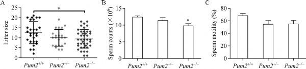 Fig.4