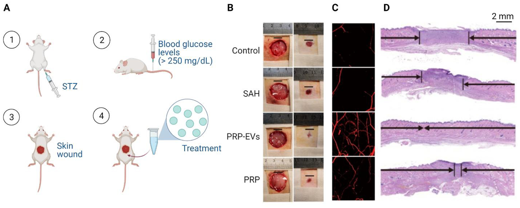 Figure 3: