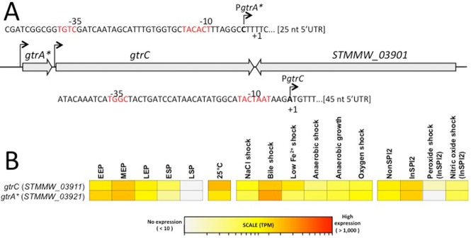 Fig 5