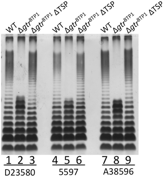 Fig 6