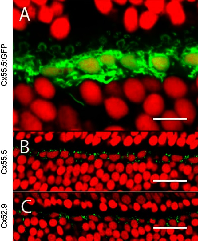 Fig. 3.