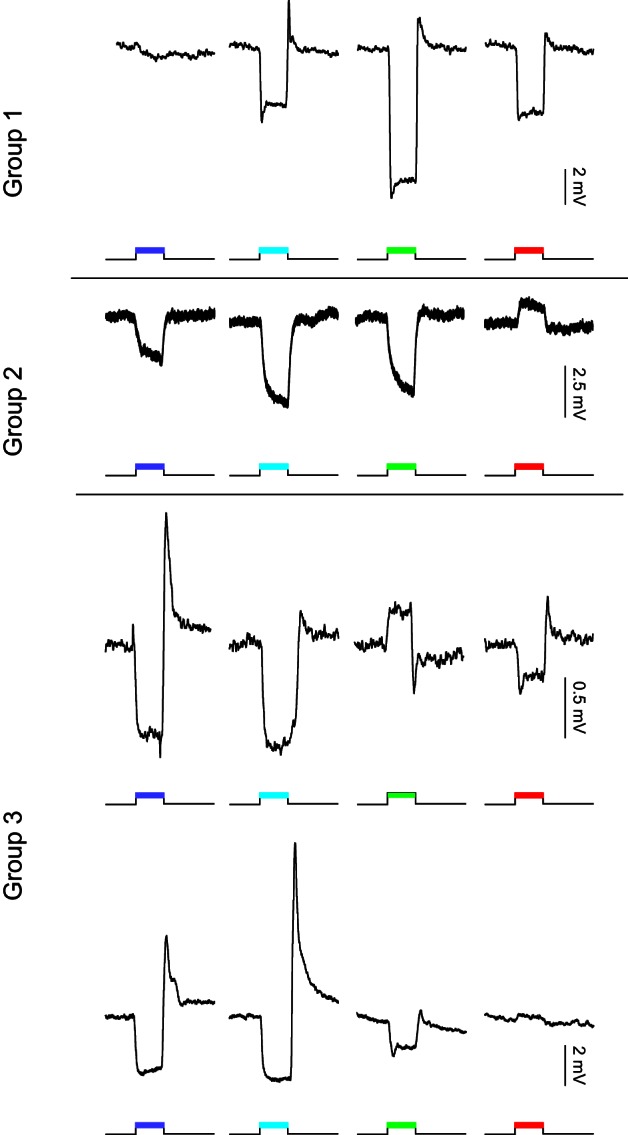 Fig. 6.