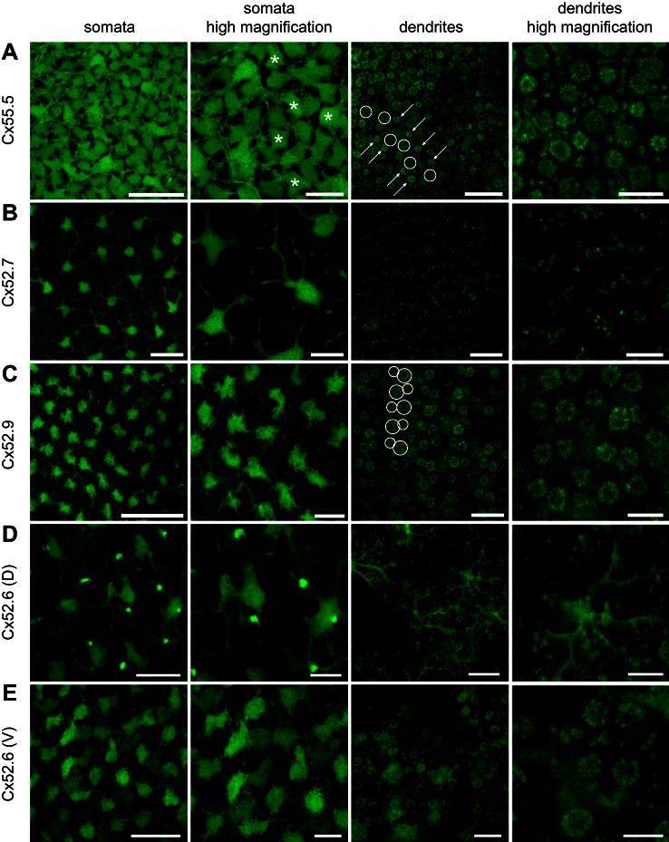 Fig. 4.