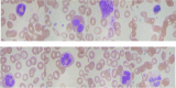 Fig. 9