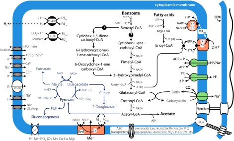 Fig. 1.