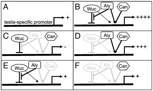 Fig. 9