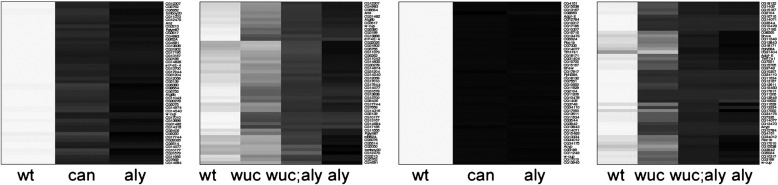 Supplementary Fig. 4