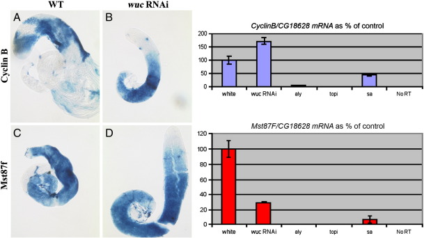 Supplementary Fig. 2