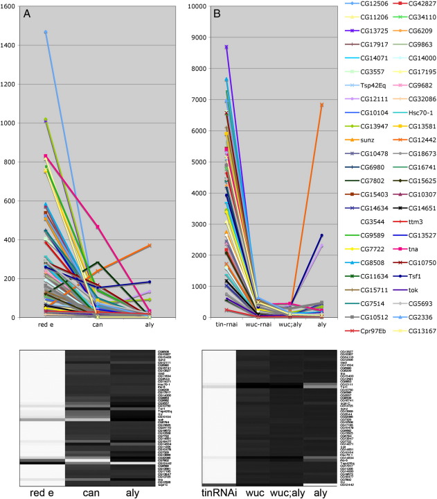 Supplementary Fig. 3