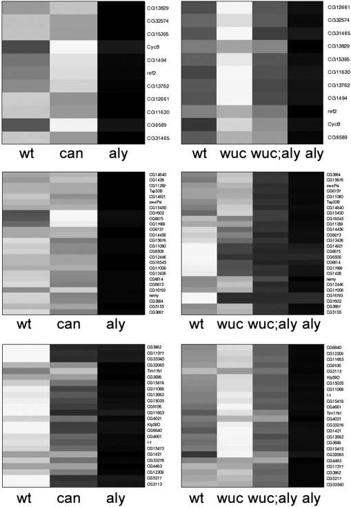 Supplementary Fig. 5