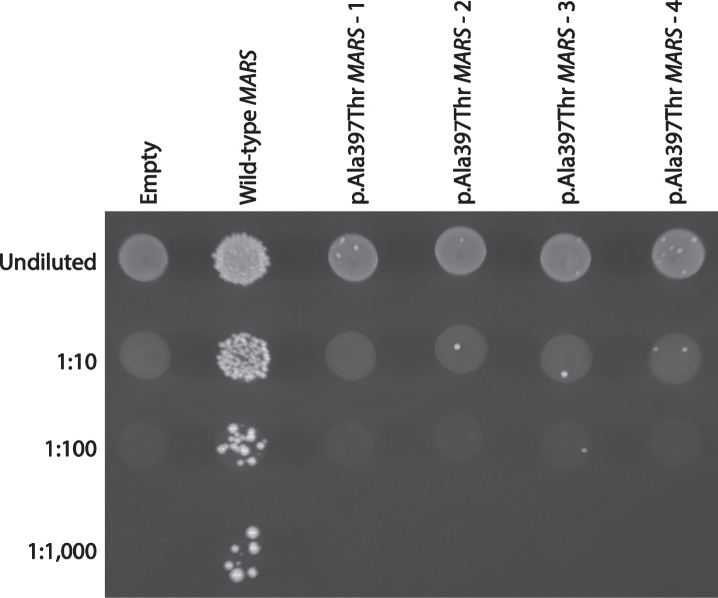 Fig.2