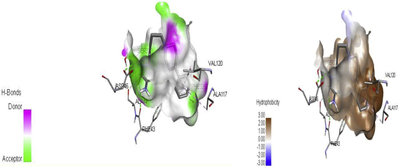 Figure 7